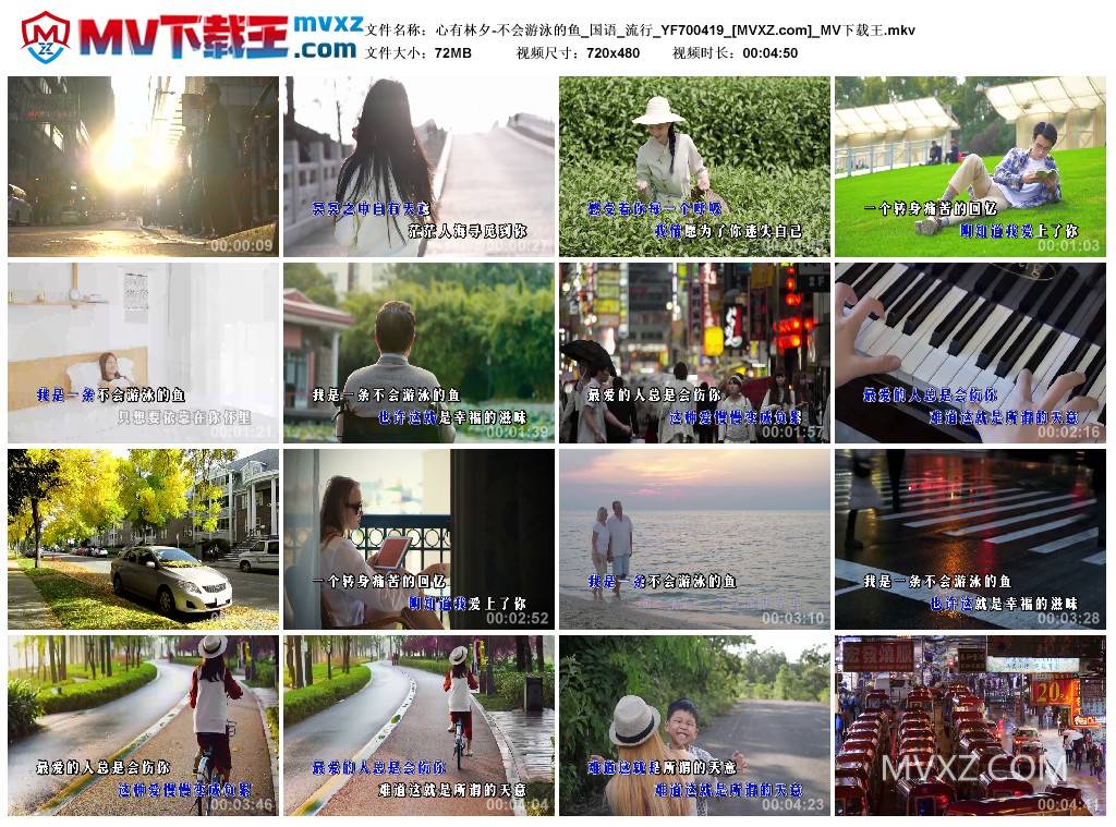 心有林夕-不会游泳的鱼_国语_流行_YF700419